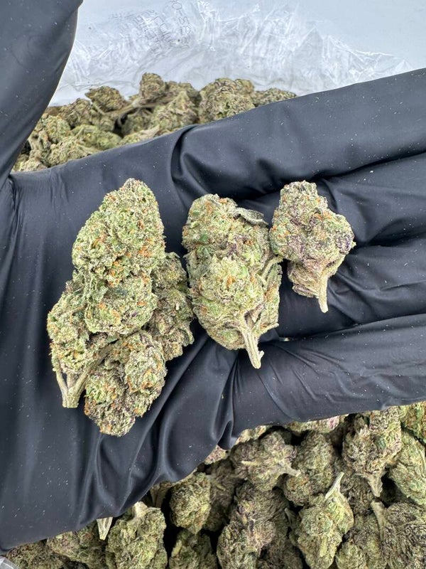 EUCLID BEACH ( 1 lb )