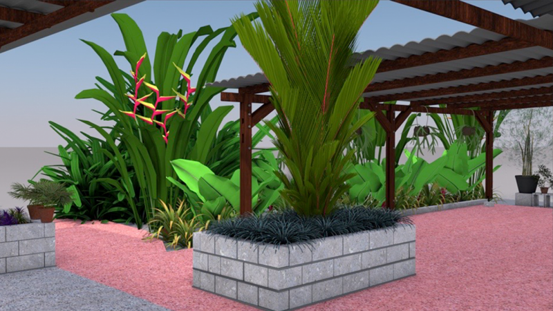 3D Tropical plants. Stralizia , Red palm.