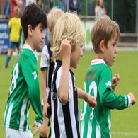 19-standard-45hm14.jpg