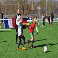20250218_110357-standard.jpg