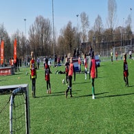 20250218_133658-standard.jpg