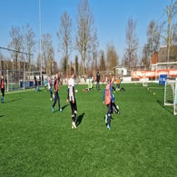 20250218_134125-standard.jpg