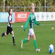 img_6711-standard.jpg