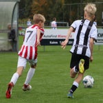 img_7155-standard-7sa178.jpg
