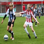 img_7173-standard-p8uea5.jpg