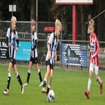 img_7223-standard-84cqhl.jpg