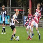 img_7224-standard.jpg