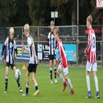 img_7226-standard.jpg