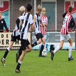 img_7262-standard.jpg