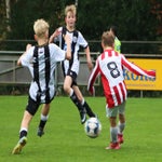 img_7360-standard-70y642.jpg