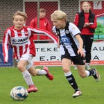 img_7464-standard.jpg