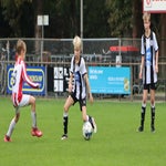 img_7478-standard-7i0eek.jpg