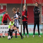 img_7515-standard.jpg