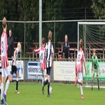 img_7523-standard.jpg