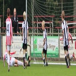img_7526-standard.jpg