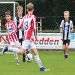 img_7529-standard.jpg