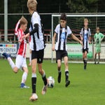 img_7546-standard.jpg