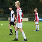img_7571-standard.jpg