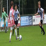 img_7620-copy-2-standard.jpg