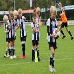 img_7636-standard.jpg