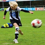 img_7637-standard.jpg