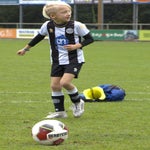 img_7663-standard.jpg