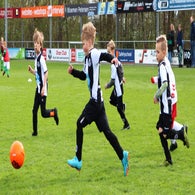 46jpg-25.jpg