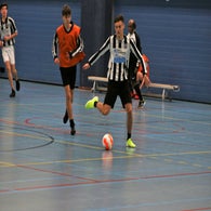 IMG_2313.jpg
