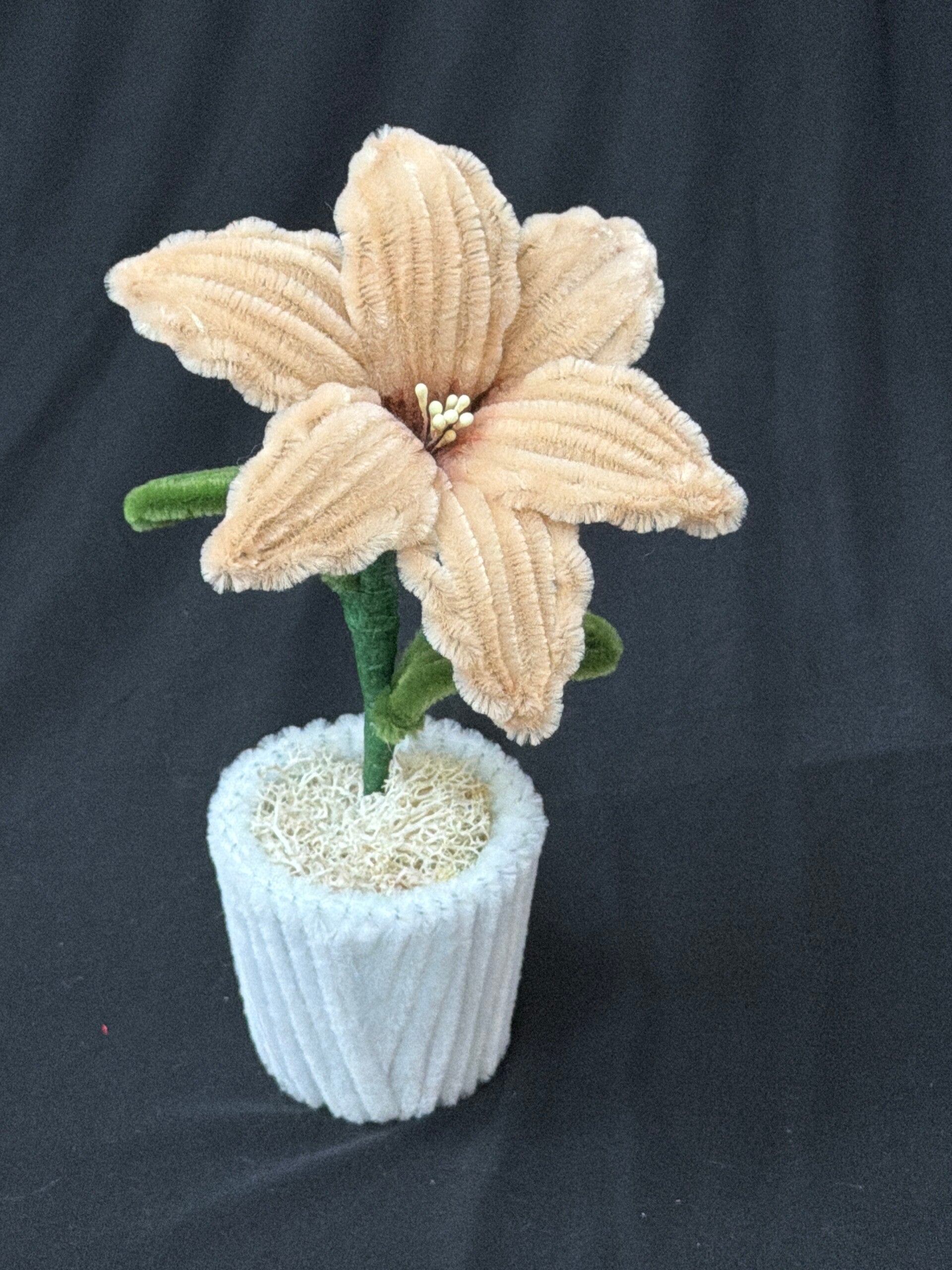 Petit pot de fleur beige