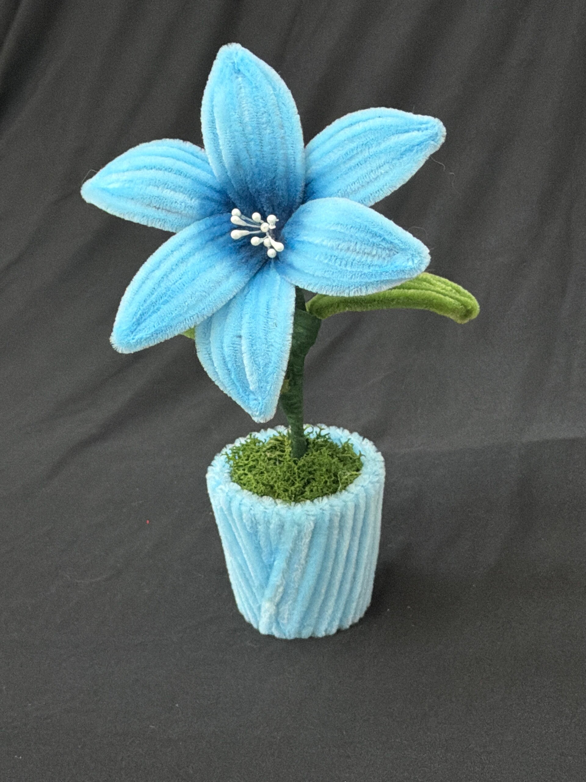 Petit pot de fleurs bleu