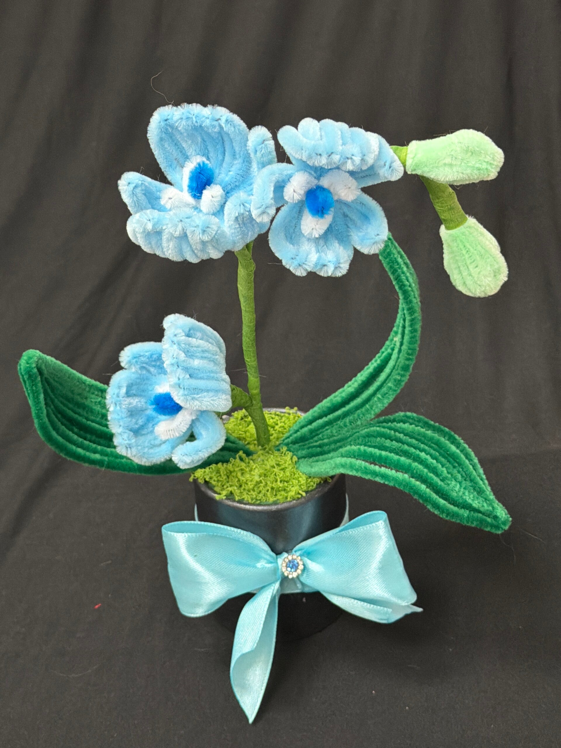 Petit orchidée individuel bleu