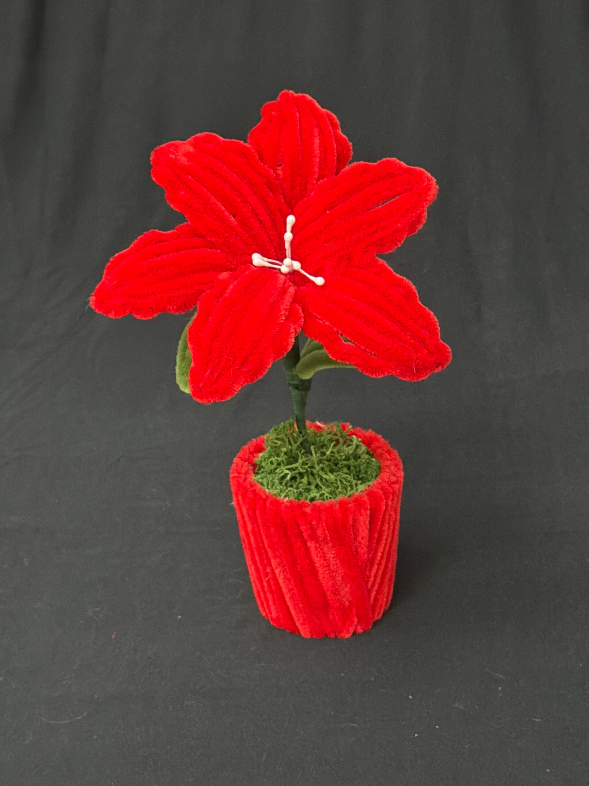 Petit pot de fleur rouge