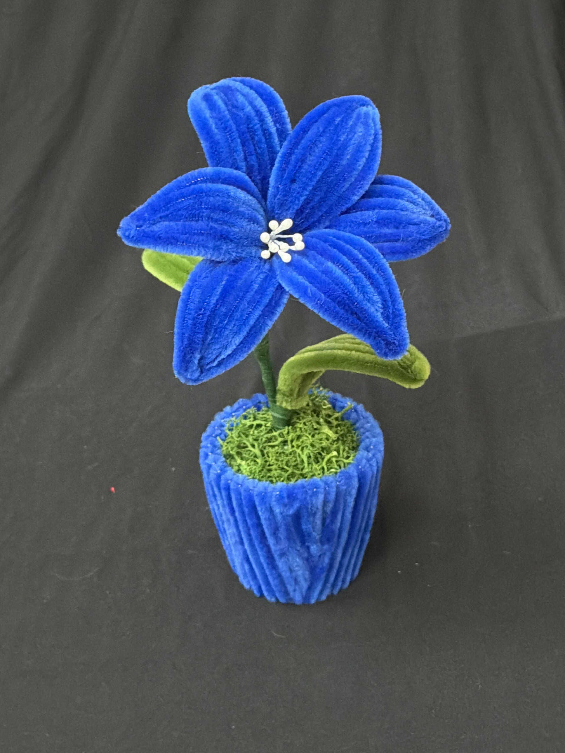 Petit pot de fleur bleu