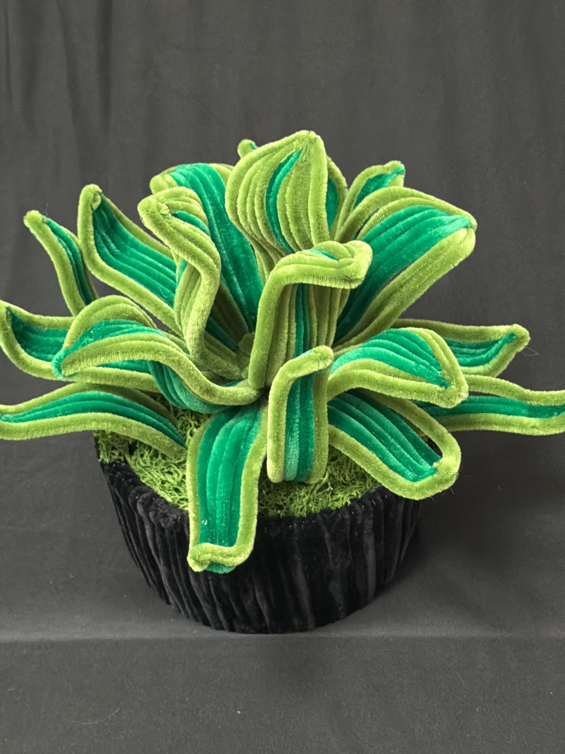 Plante verte fil de chenille