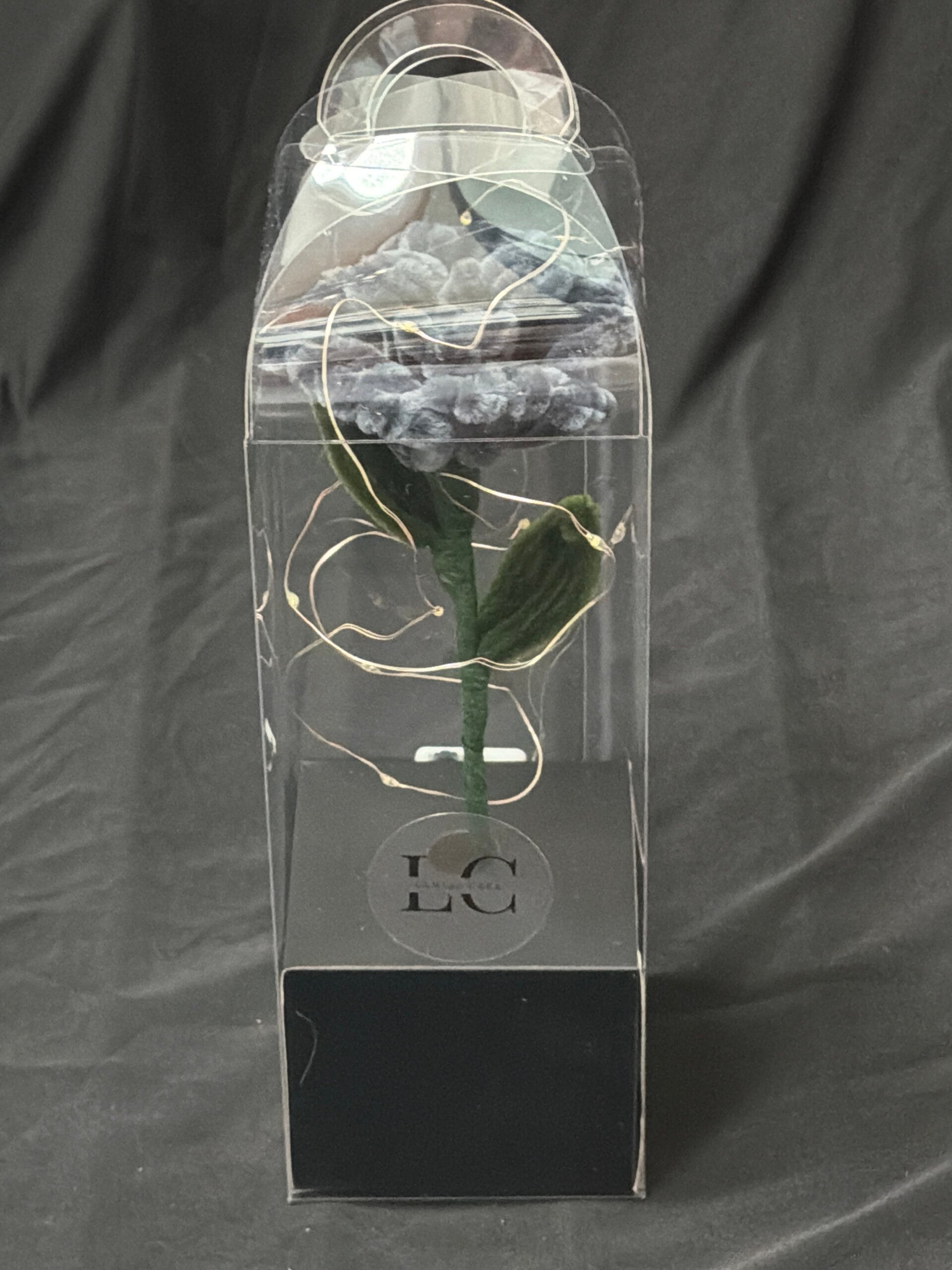 Rose éternelle lumineuse gris foncé