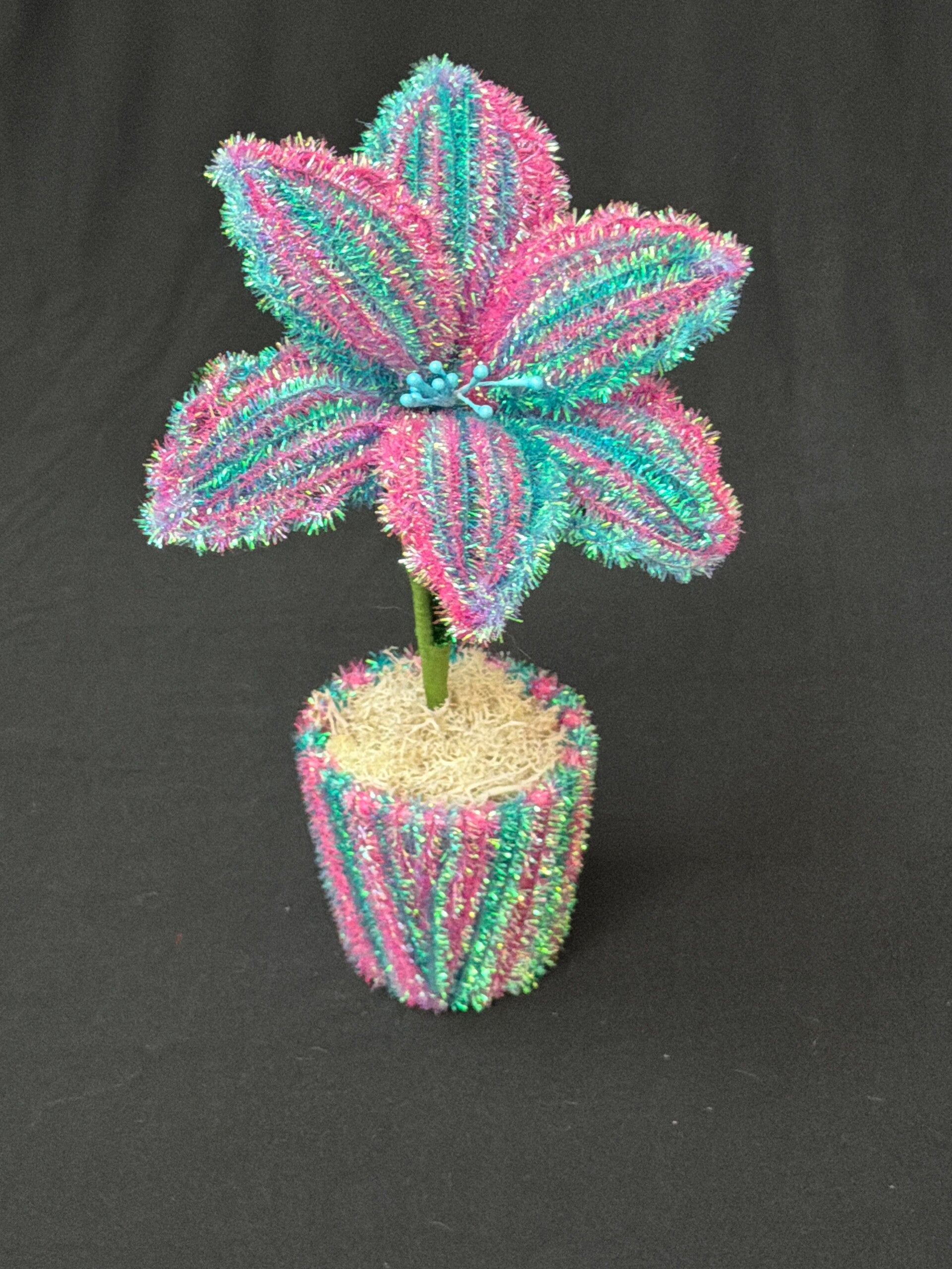 Petit pot de fleurs multicolores