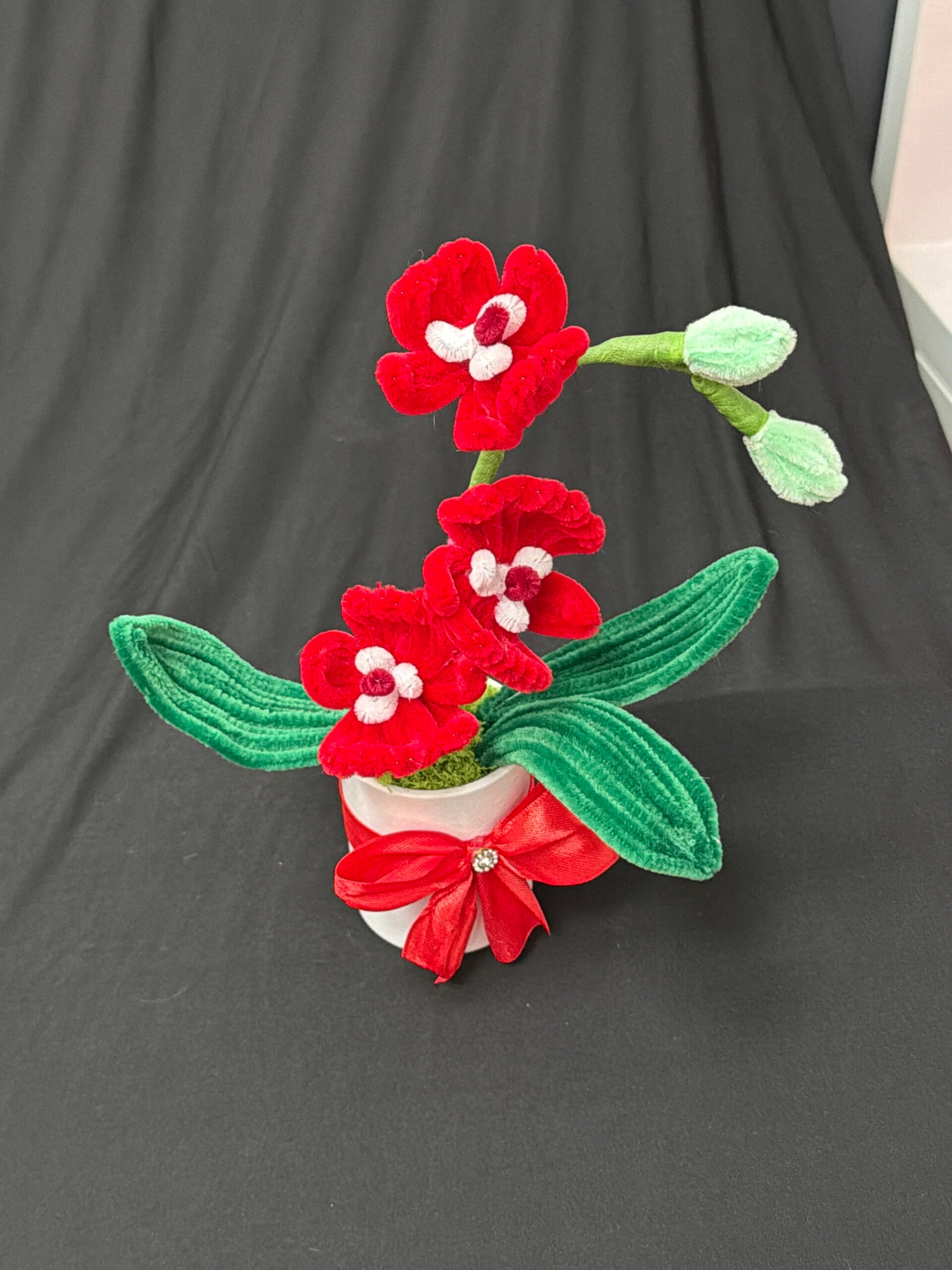 Petit orchidée individuel rouge