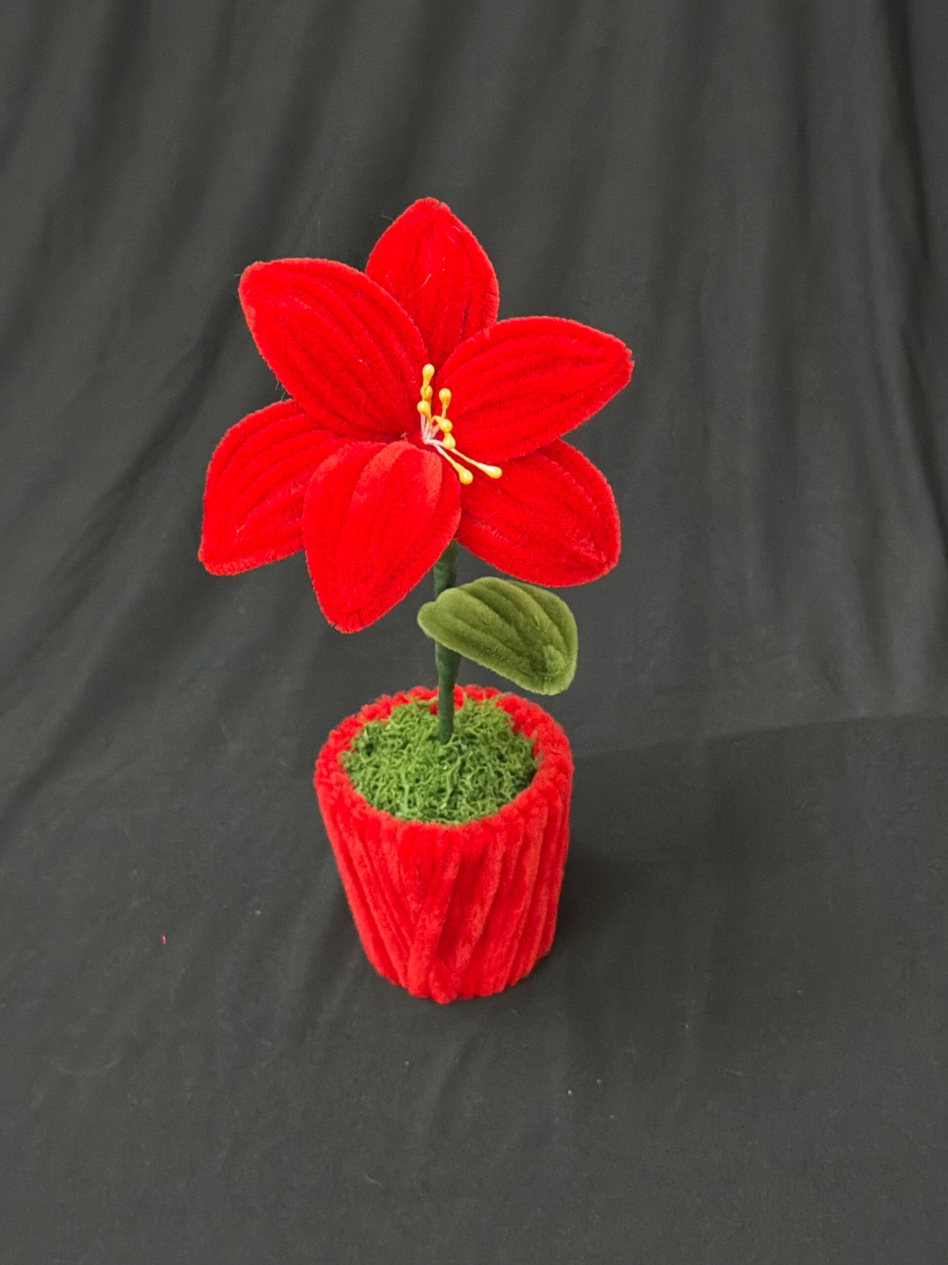 Petit pot de fleur rouge