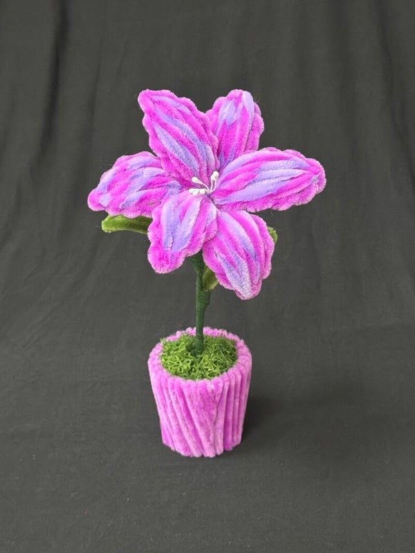Petit pot de fleur violet