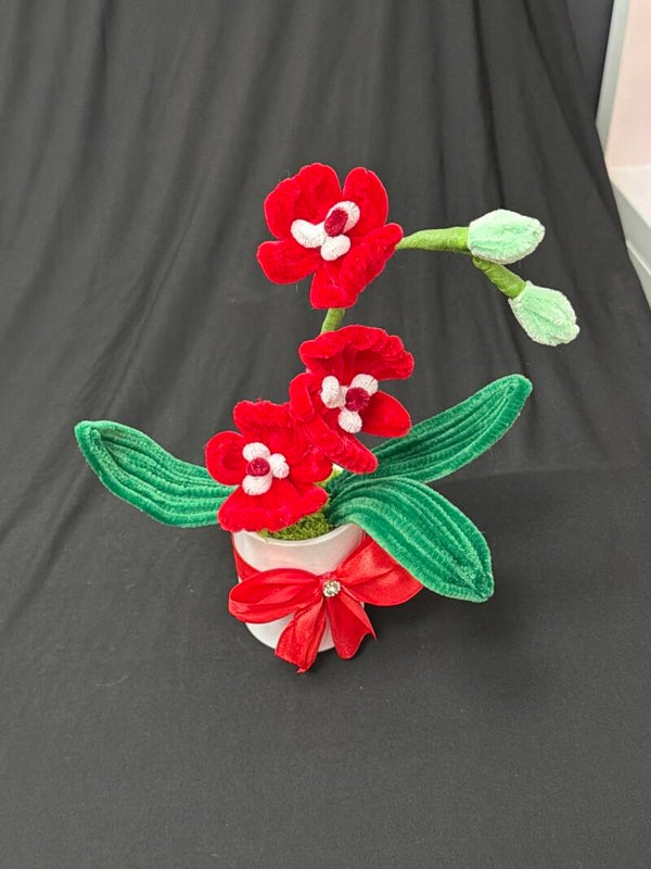 Petit orchidée individuel rouge