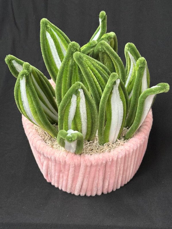 Plante verte fil de chenille