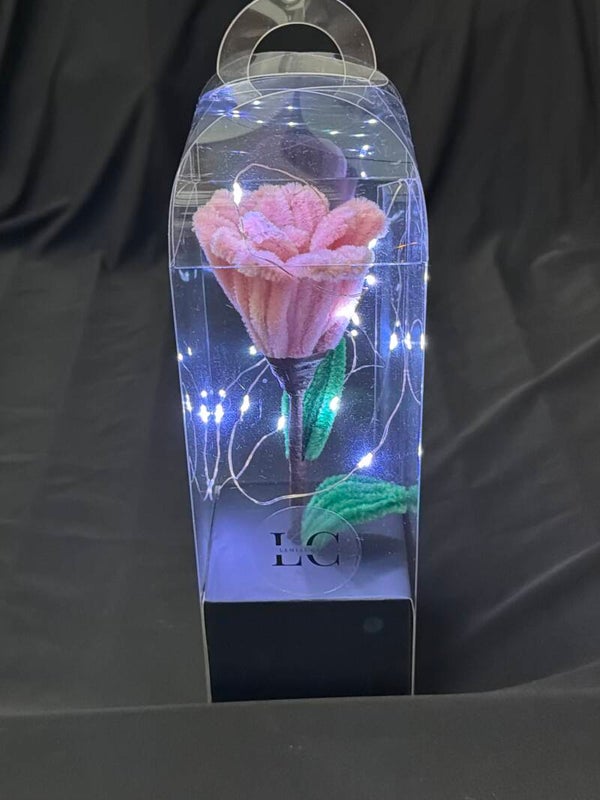 Rose éternelle lumineuse rose poudree