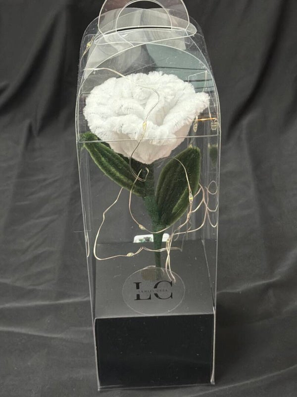 Rose éternelle lumineuse blanche