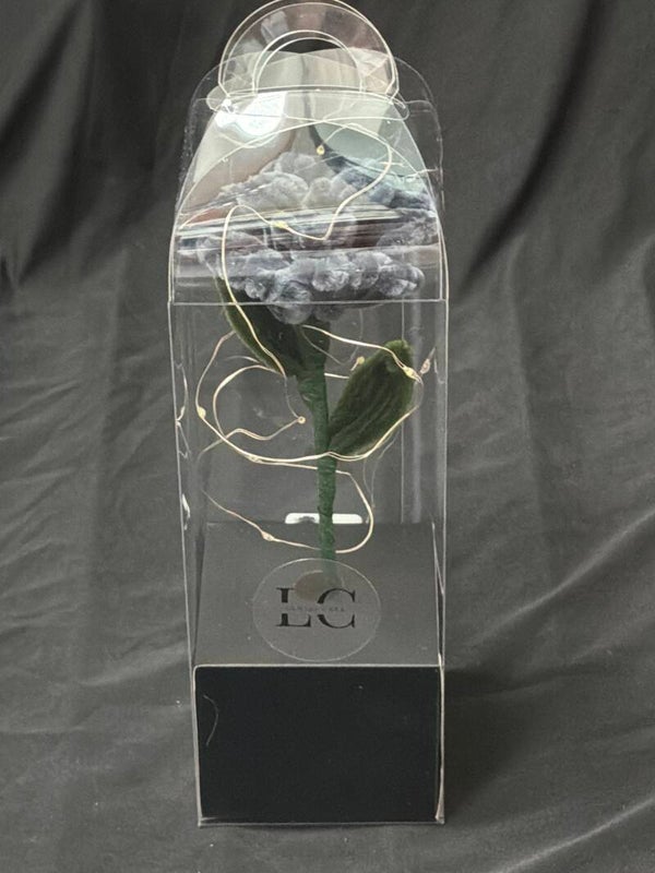 Rose éternelle lumineuse gris foncé