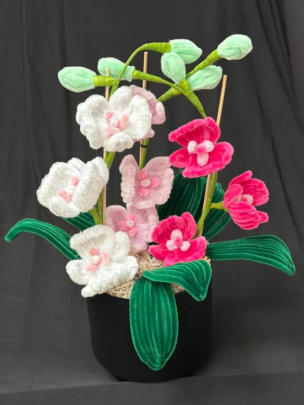 Grosse composition d’orchidées ton rose