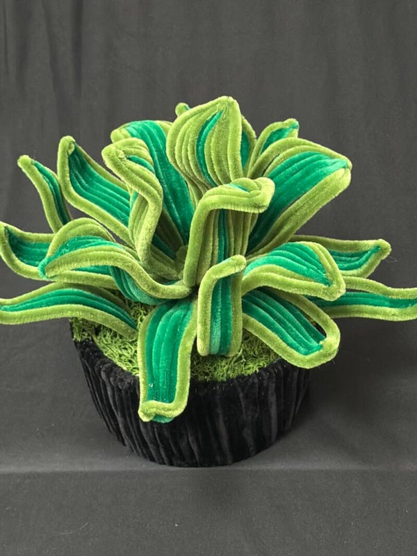 Plante verte fil de chenille