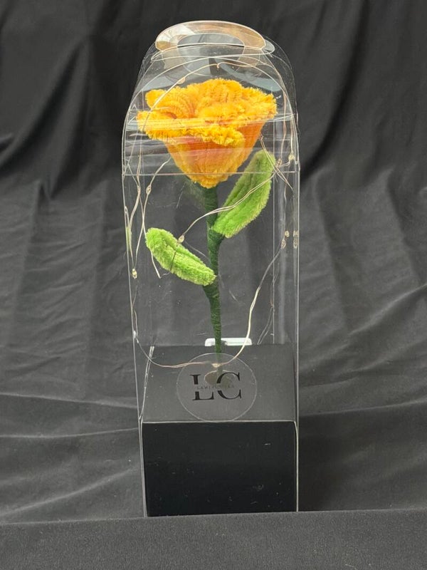 Rose éternelle lumineuse orange