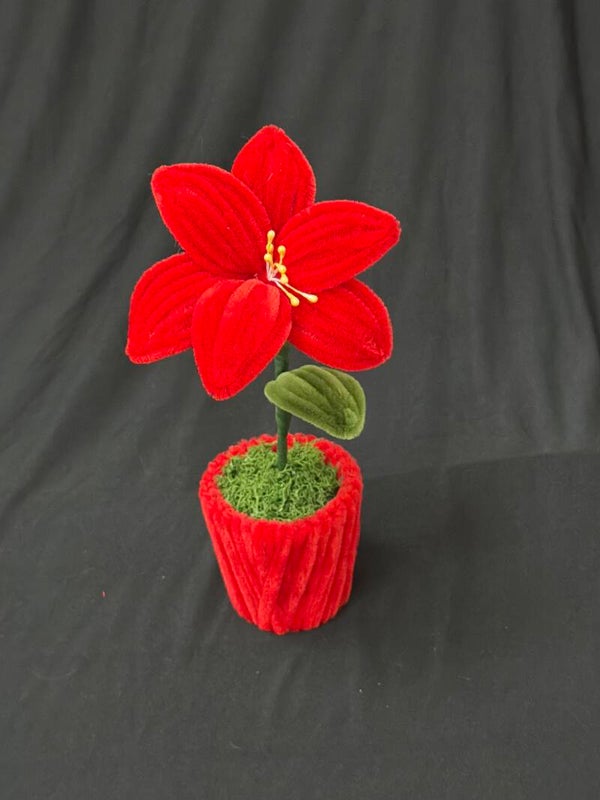 Petit pot de fleur rouge