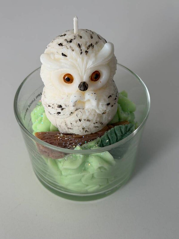 Bougie cire de soja - hiboux