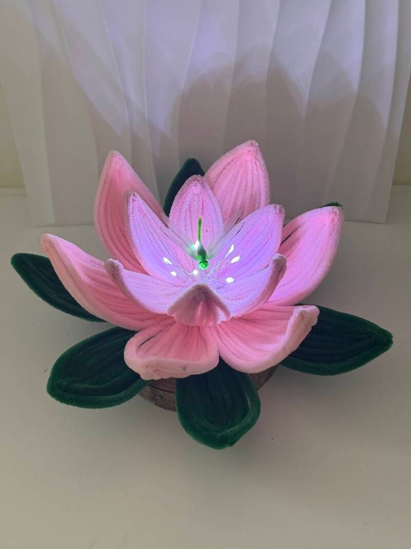 Fleur de lotus